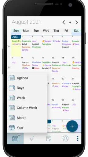 Pocket Informant screenshot 3
