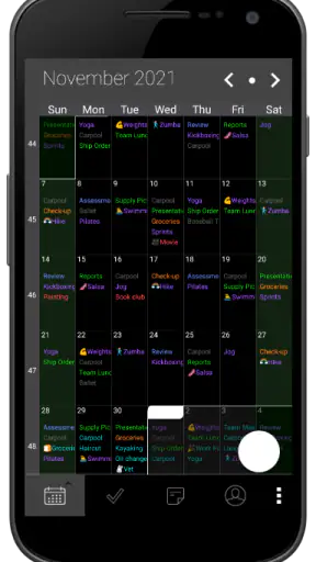 Pocket Informant screenshot 4