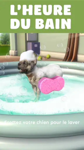 Pocket Paws: mes petits chiens screenshot 12