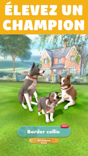 Pocket Paws: mes petits chiens screenshot 2