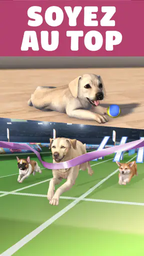 Pocket Paws: mes petits chiens screenshot 3
