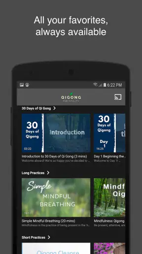 Qigong for Vitality screenshot 3