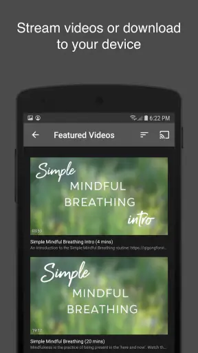 Qigong for Vitality screenshot 4