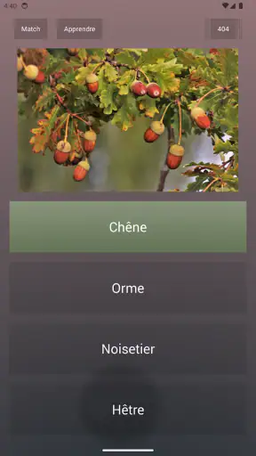 Quiz de culture générale screenshot 10