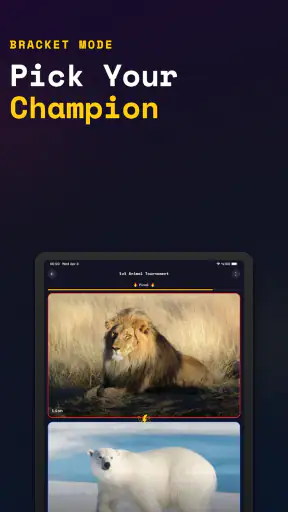 Quizei: Classement à l'Aveugle screenshot 9