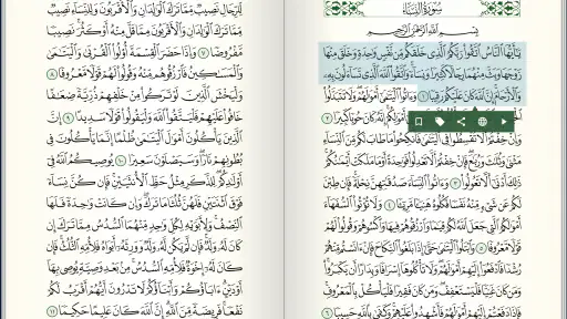 Quran for Android screenshot 11