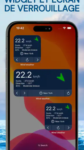Radar à vent - Anémomètre screenshot 3