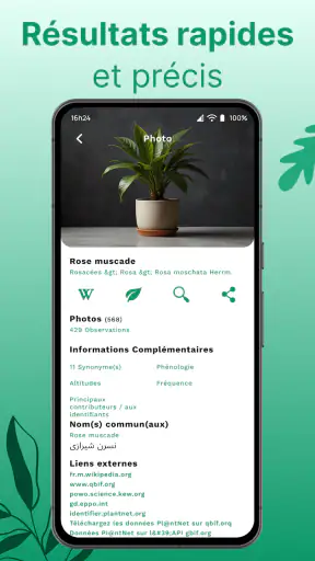 Reconnaitre Fleurs et Plantes screenshot 10