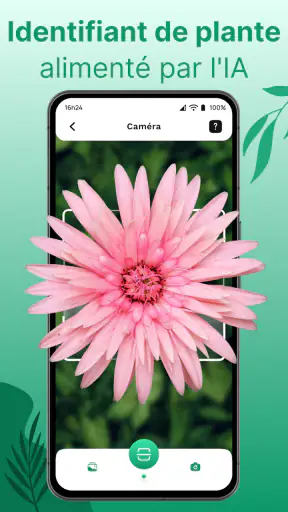 Reconnaitre Fleurs et Plantes screenshot 2