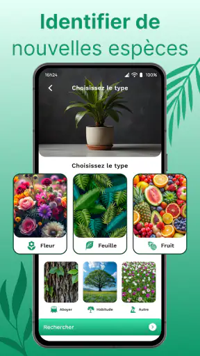 Reconnaitre Fleurs et Plantes screenshot 8