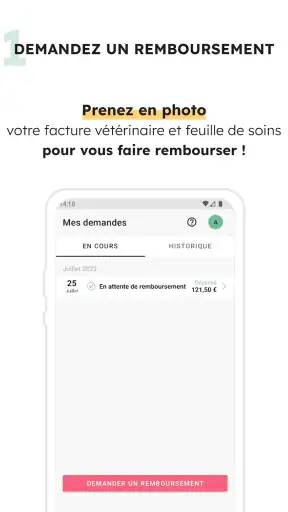 Santévet screenshot 2