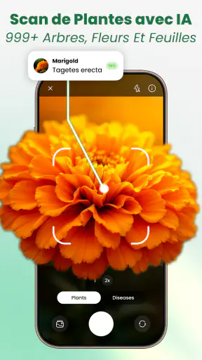 Scan Plantes & Fleurs: AI screenshot 1