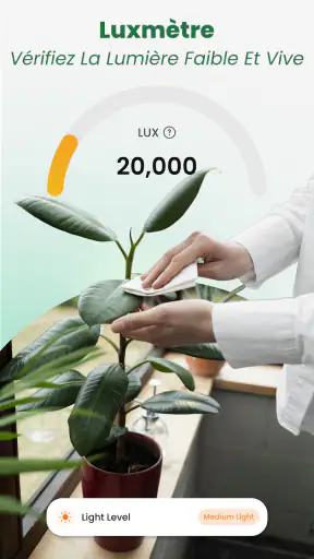 Scan Plantes & Fleurs: AI screenshot 4