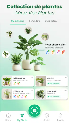 Scan Plantes & Fleurs: AI screenshot 7