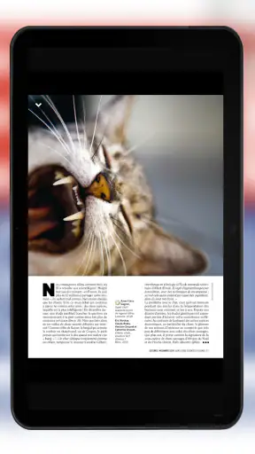 Sciences et Avenir magazine screenshot 9