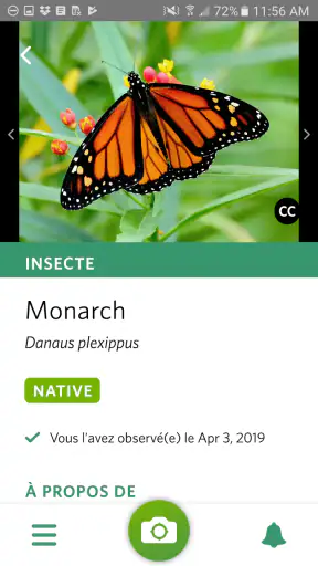 Seek par iNaturalist screenshot 2