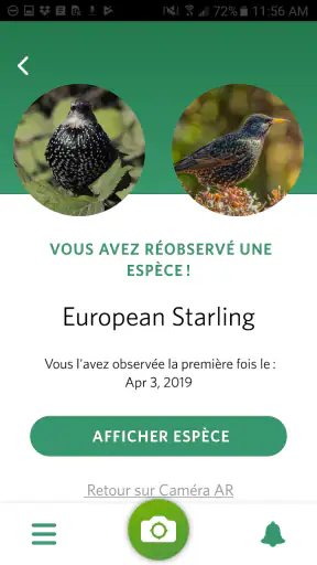 Seek par iNaturalist screenshot 3