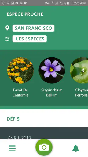 Seek par iNaturalist screenshot 4