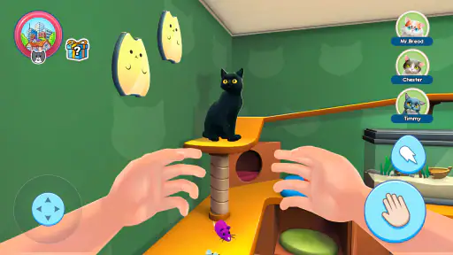 Simulateur de Chat : Animaux screenshot 9