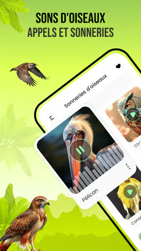 Sons d'oiseaux screenshot 1