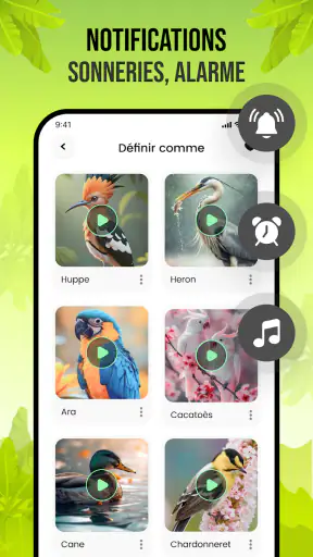 Sons d'oiseaux screenshot 5