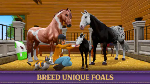 Star Equestrian - Horse Ranch screenshot 1