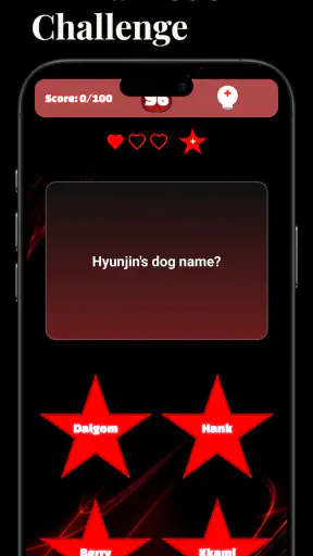 Stray Kids Challenge : SKZ screenshot 2