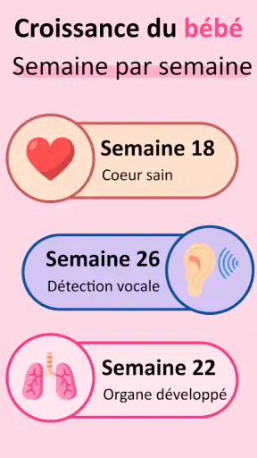Suivi Grossesse Chaque Semaine screenshot 6