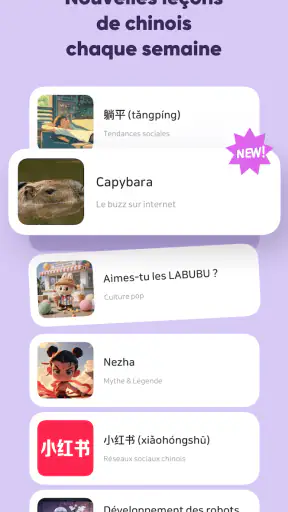 SuperChinese: Chinois Mandarin screenshot 8
