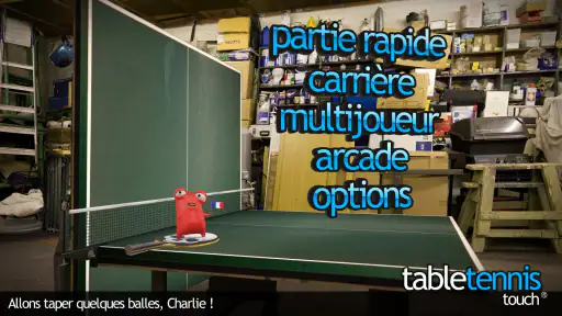 Table Tennis Touch screenshot 2