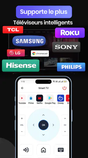 Télécommande TV universelle screenshot 2