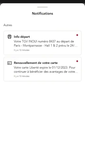 TGV INOUI PRO screenshot 4