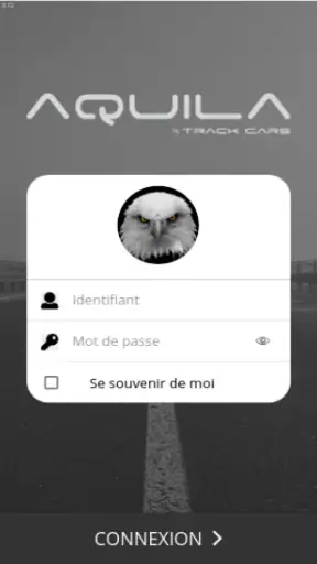 TRACK CARS screenshot 1