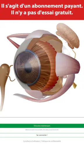 Visible Body Suite screenshot 11