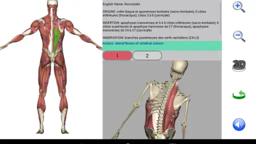 Visual Anatomy 2 screenshot 10