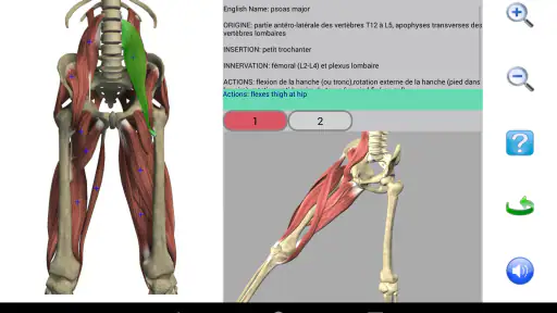 Visual Anatomy 2 screenshot 12