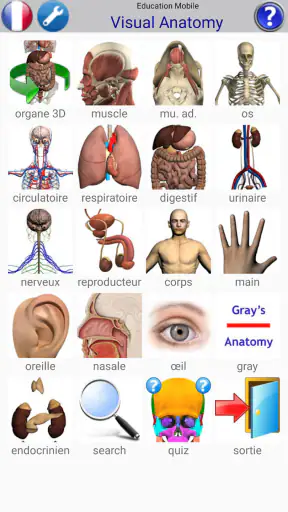 Visual Anatomy 2 screenshot 5