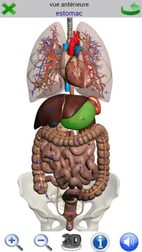 Visual Anatomy 2 screenshot 7