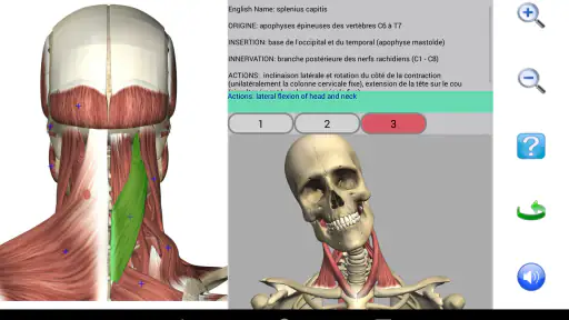Visual Anatomy 2 screenshot 9