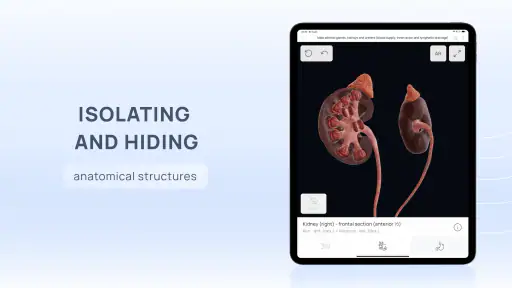 VOKA 3D Anatomie et Pathologie screenshot 12