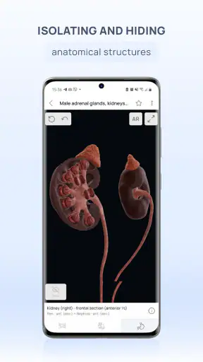 VOKA 3D Anatomie et Pathologie screenshot 4
