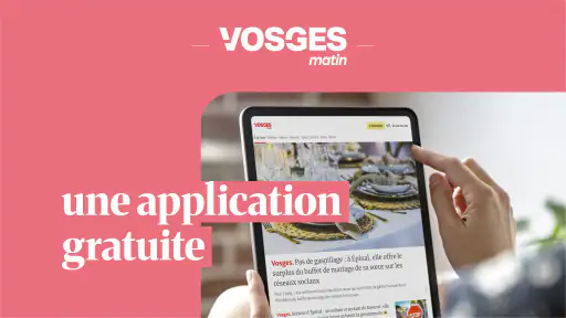 Vosges Matin, info en direct screenshot 9
