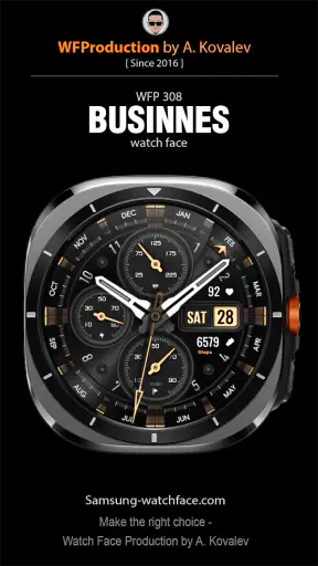 WFP 308 Business watch face screenshot 1