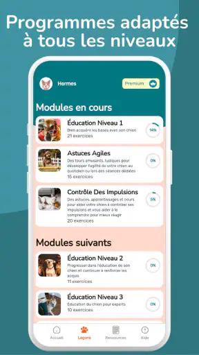 WoofLearn : Éducation du Chien screenshot 4