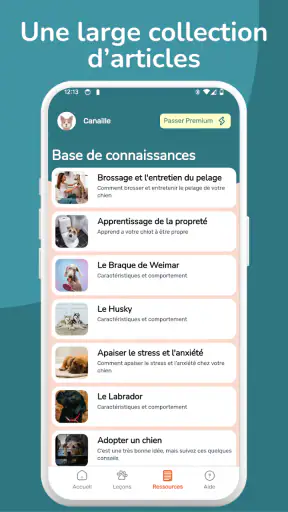 WoofLearn : Éducation du Chien screenshot 6