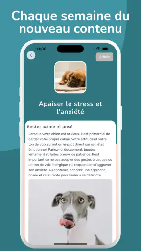 WoofLearn : Éducation du Chien screenshot 7