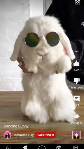 YouTube screenshot