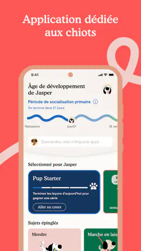 Zigzag - Éducation chien screenshot 2
