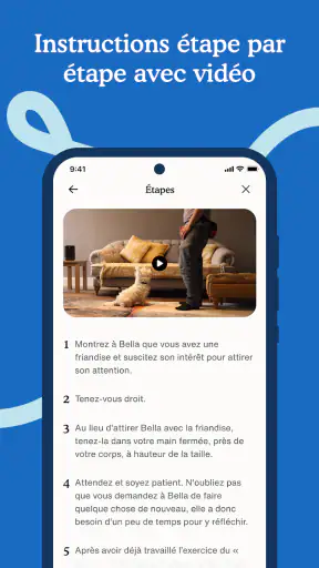 Zigzag - Éducation chien screenshot 4