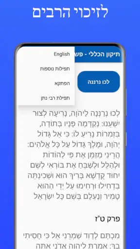 תיקון הכללי - פשוט ונוח screenshot 4